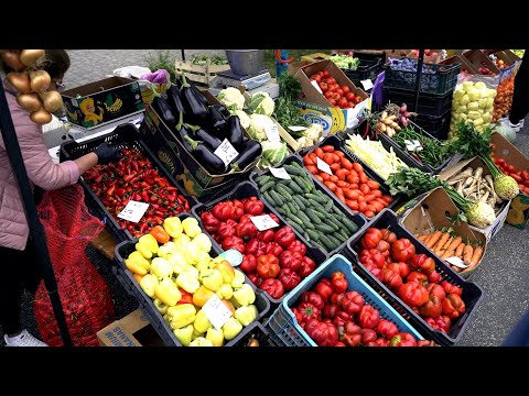 Mediaș 120 | Ziua Recoltei în centrul istoric al orașului | novatv.ro