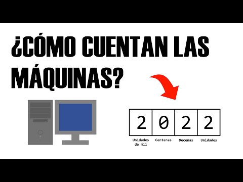 Sistema binario y hexadecimal (también decimal)
