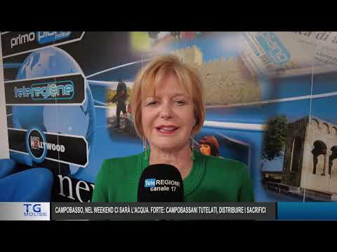 News broadcast 7:30 PM – October 25, 2025