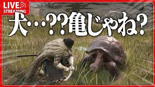 新天地リエーニエ突入！これは犬！【 ELDEN RING 】