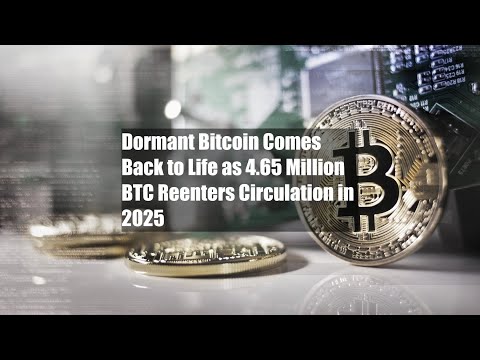 Bitcoin yang Tertidur Kembali Hidup, 4,65 Juta BTC Kembali Beredar di Tahun 2025
