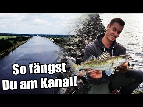 Zander fishing on the canal | 5 tips for more zander on the canal
