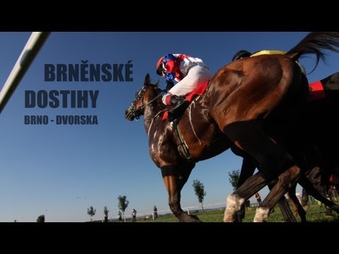 Brněnské dostihy 2013