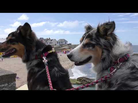 KANUWANDERN auf der LOIRE 2017 - Video 20 - Erst zur Mündung und dann ans MEER