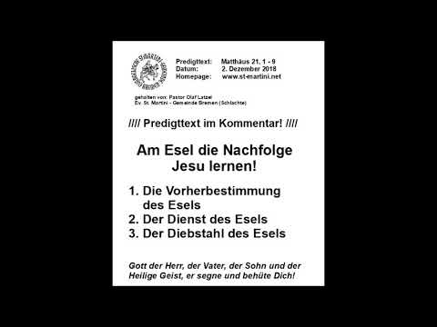 02.12.2018 - Am Esel die Nachfolge Jesu lernen!