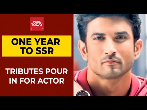 Remembering Sushant Singh Rajput On First Death Anniversary, CBI Yet To File Chargesheet