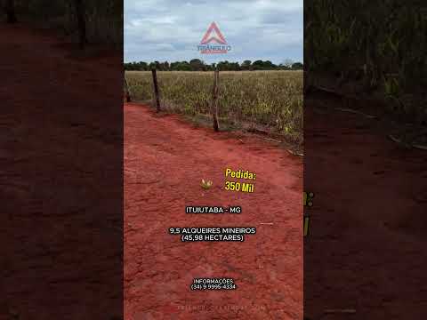Terra de roxa de cultura com topografia plana e Ribeirão na divisa em ituiutaba Mg
