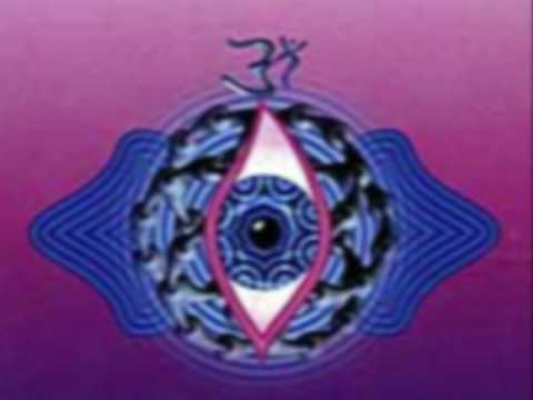 Analog Pussy - Solipse Technology