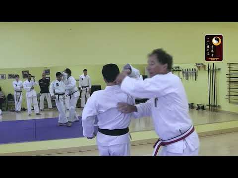 Breaklocks: Wrist Grip (normal) Lift/Elbow – Shihan Robert Cusumano