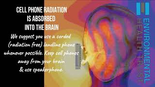 Cell Phone Radiation is Absorbed Into The Brain: We Suggest a Corded Phone.