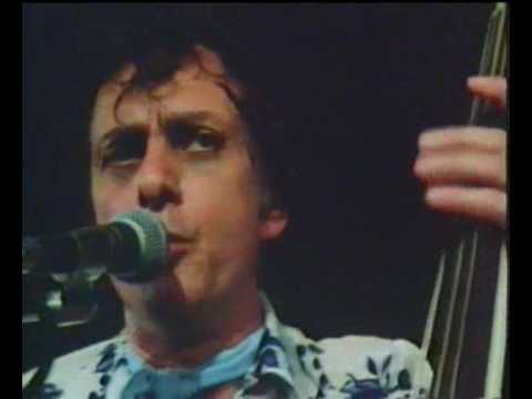 Ray Campi & His Rockabilly Rebels - Rockabilly Rebel.