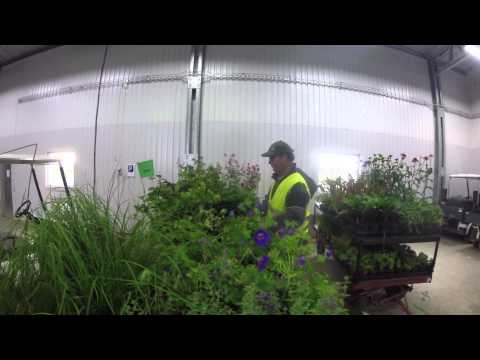 Säve Plantskola 2015