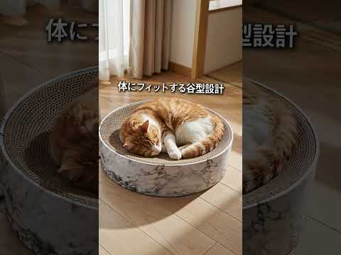 Amazon・楽天・SNS商品動画を制作します EC・SNSで使える高品質な商品PR動画を制作