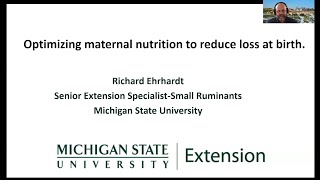 Optimizing Maternal Sheep & Goat Nutrition to Reduce Loss at Birth