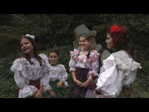 Daria Pop - Badea tri drăguțe are