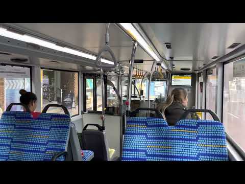 Keolis Downer MAN A95 ND 323 F #2874 (ZF-EcoLife)