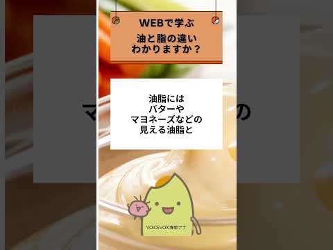 飽和脂肪 – それは何ですか、本当に悪いものですか、完全な分析