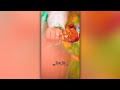 Chhodenge Na Hum Tera Sath Status Old Is Gold Song Status Hindi Love Song Status Status Video