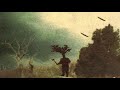 Black Moth Super Rainbow - Yourteethandface (Marchingalong)
