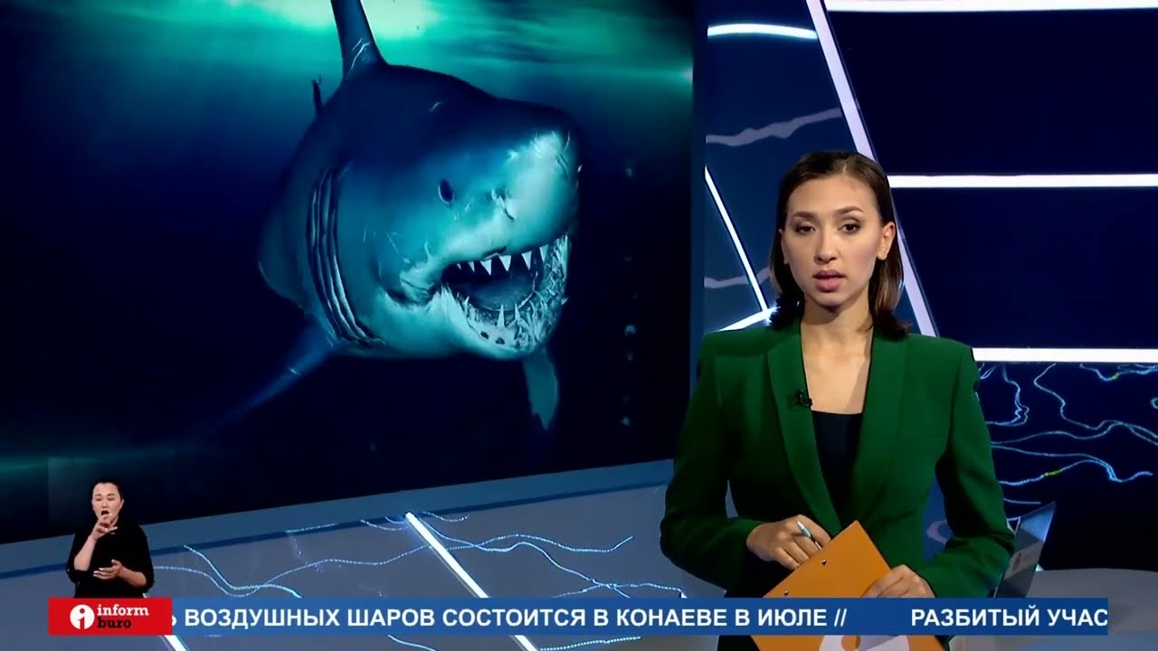 На пляже в хургаде На пляже в хургаде