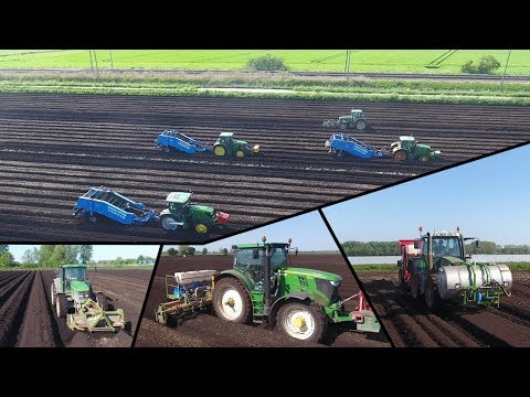 Potato Planting - Adam Denniss