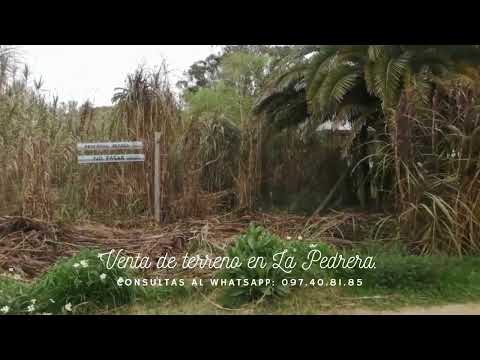Venta de terreno en La Pedrera, Rocha Uruguay. 