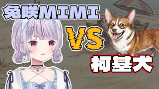 兔咲MIMI VS. 柯基【兔咲MIMI/VSPO!】【汪汪大作戰】【中文剪輯】#兎咲ミミ  #vspo中文   #vtuber中文