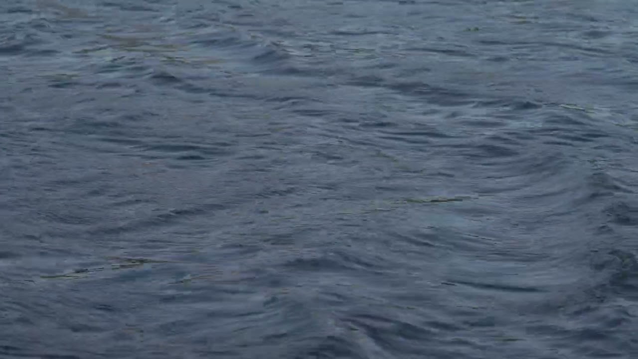 4K surface of water.... flood, or sea Stock Footage  - Free Download #stockfootage  #stockvideofree