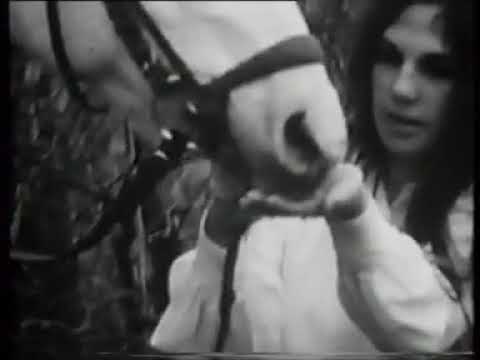 George Baker Selection pequeño bolso verde.