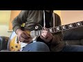Gov’t Mule - Child of the Earth live solo cover