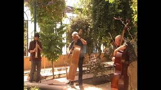 Barre Phillips, Mark Dresser, Davide Barbarino, Manlio Speciale - Orto Botanico di Palermo 2017 (2a)