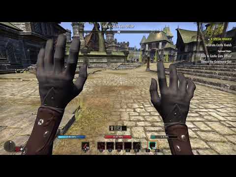 Police In Tamriel Do Not Joke Around