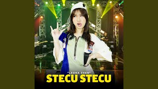 Download lagu Stecu Stecu mp3