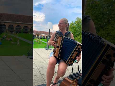 Das erste Stück auf meiner neuen Jamnik-Harmonika 😍 #neueharmonika #jamnik #ziach #volksmusik #2023