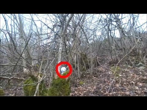 СТРАННОЕ СУЩЕСТВО НАПУГАЛО ЛЕСНИКА странное белое существо в лесу