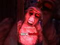 They Hacked His Game Gorillatag