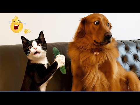 I dare you not to LAUGH at these FUNNY DOGS 😁🦮  Best Funny Animals Videos 2026