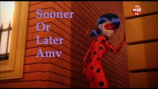 Miraculous Ladybug Amv Sooner or Later