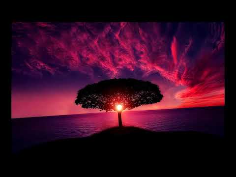 Bibi Booom  - I had a dream (Böhmischer Traum) Cover by BanaterKind