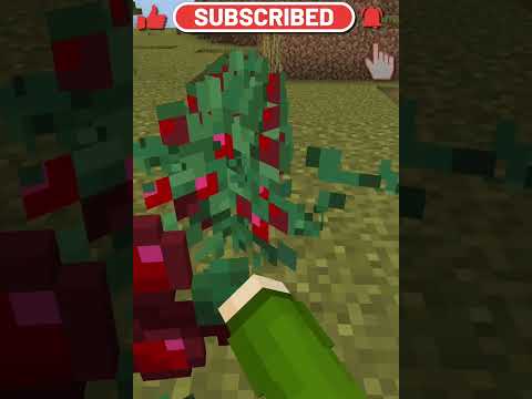 , title : 'How To Not Die In Minecraft Berry Bushes! #shorts'