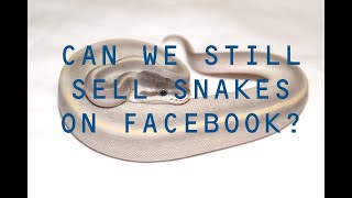 How we can still sell snakes on Facebook
