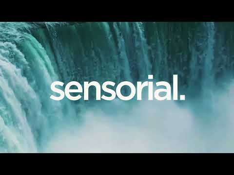 Polo (AR) - Heavy Heart