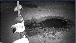 Thumbnail del capítulo