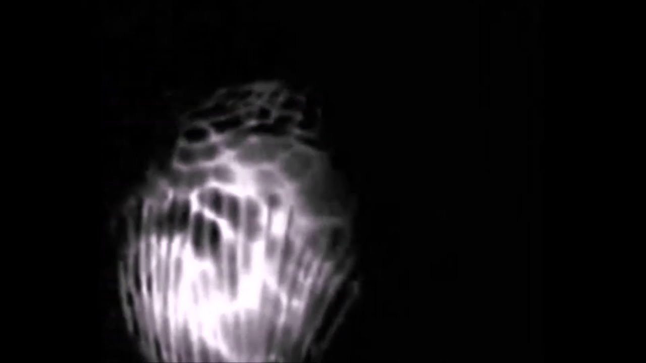 Ashbel - Out (Official Music Video)