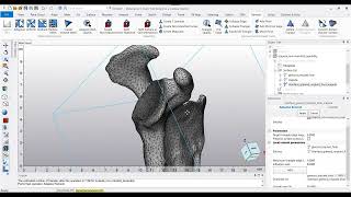 Tutorial: Prepare Anatomical Models for Finite Element Analysis