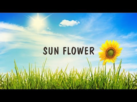 [FREE] Dancehall Instrumental Beat - Sun Flower [Prod.By Zahiem] 2020