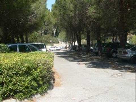 O� est Charlie ? Le Voyage Fantastique - Forfait 3 Wii