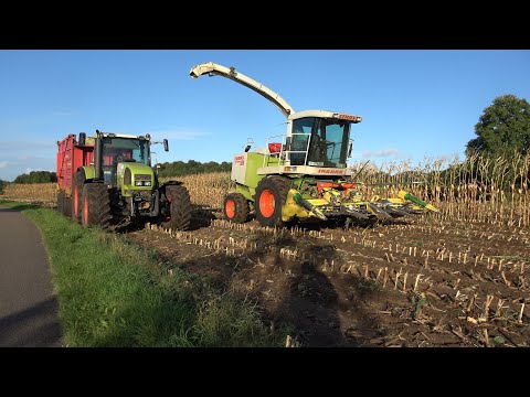 Mais hakselen door loonbedrijf Mollink met Claas Jaguar 860 en 2 Claas Ares trekkers (2022)