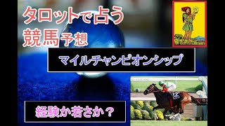 タロットで占う競馬予想【2022マイルチャンピオンシップ】経験か？若さか？