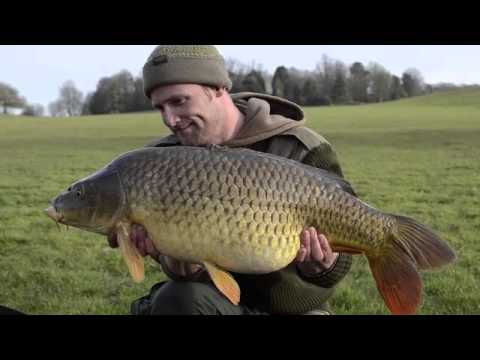 Darrell Peck's Diary - Part 2